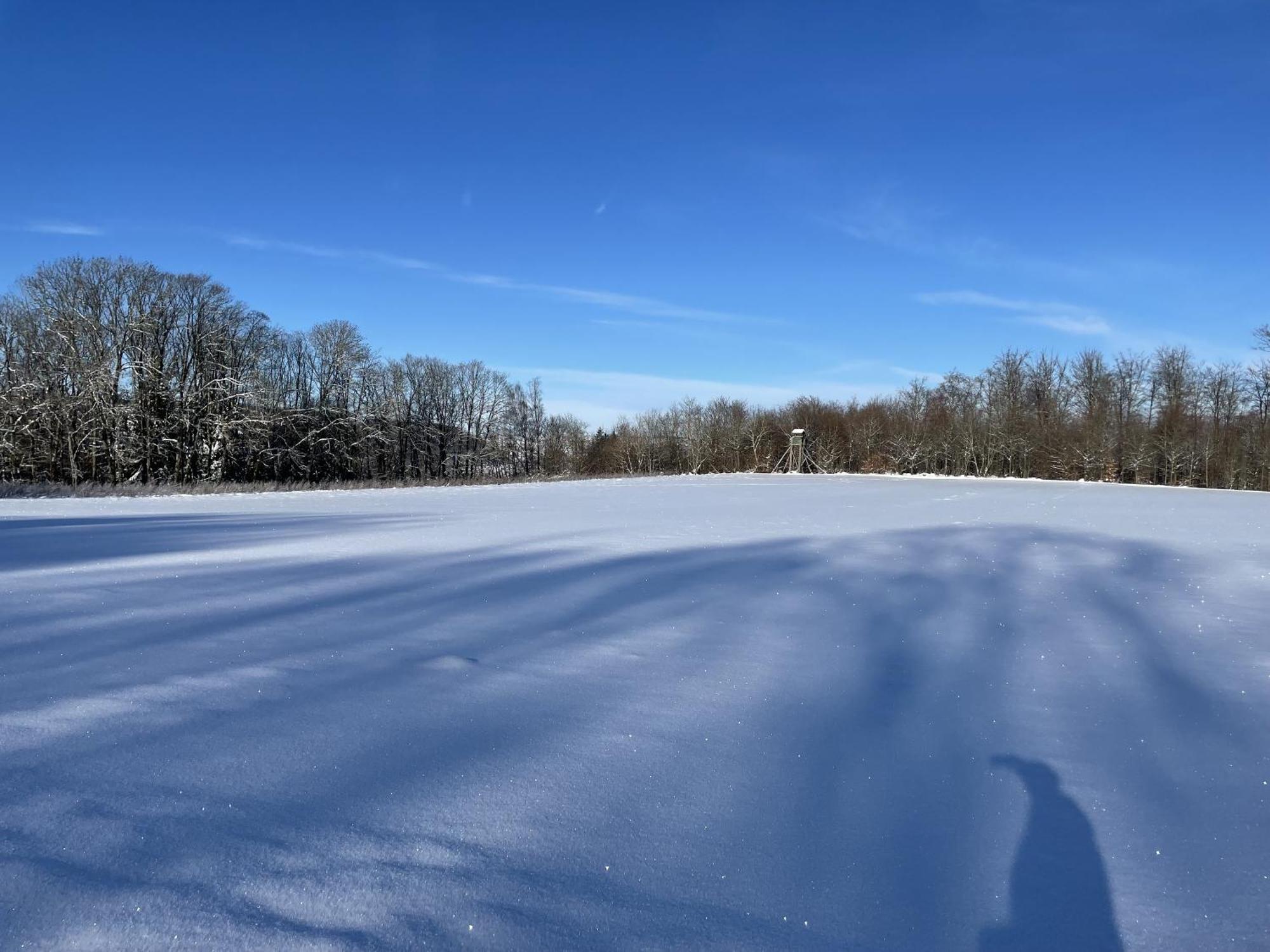 Gittas Paradiesperle Niederdreisbach Exterior foto